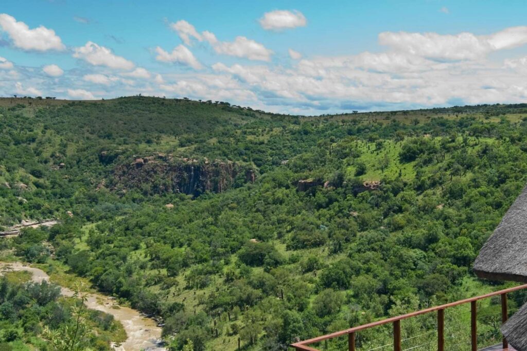 Lush green African jungle and bush landscape with dense vegetation and scenic views