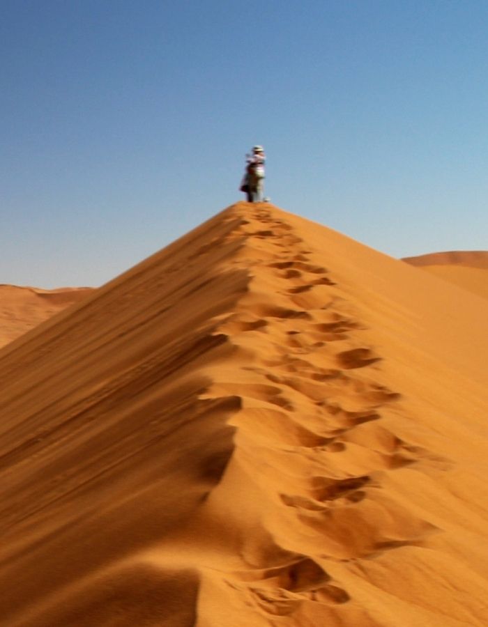 Travellers exploring the dramatic desert landscapes and wildlife of Namibia on a guided tour