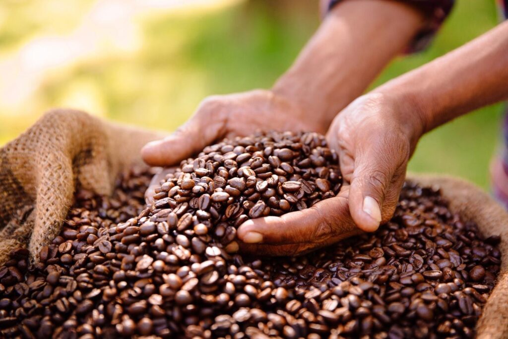 Traveler exploring a traditional coffee farm in Tanzania, learning the bean-to-cup process with local farmers